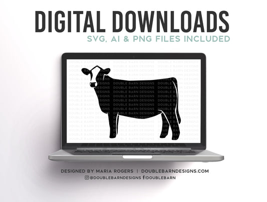 Show Heifer | Baldie Show Heifer | Baldie Cattle Design - SVG - PNG - AI