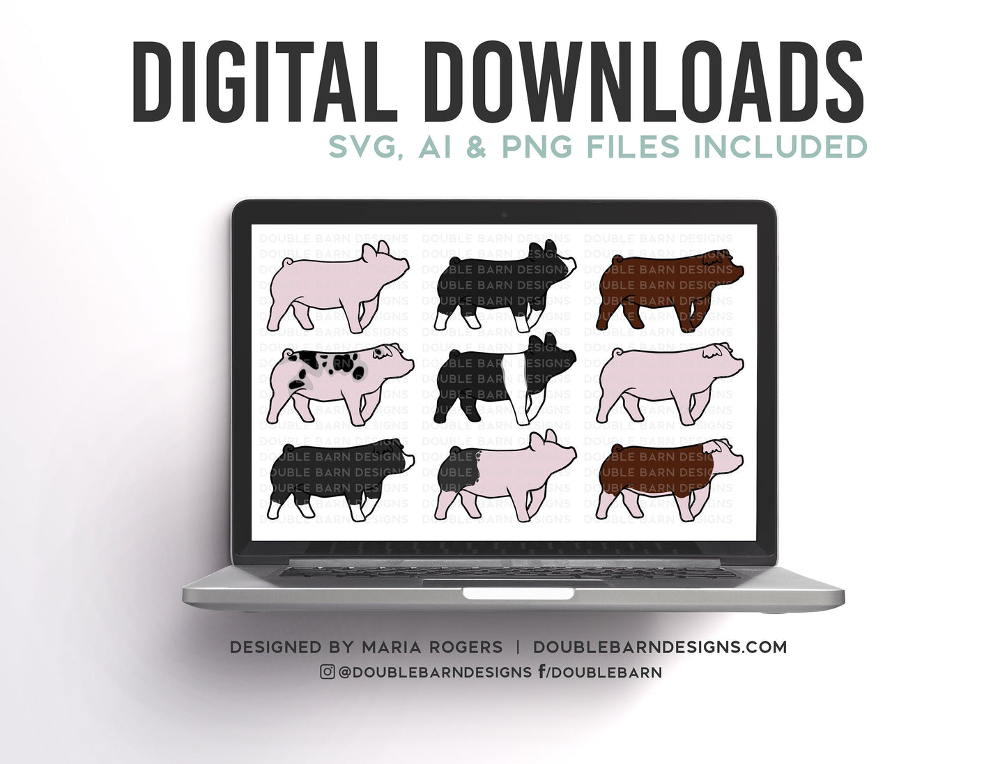 NEW 2021 Nine Show Pig Breeds | Digital Downloads - SVG, PNG, Ai Files | Commercial License | York, Cross, Hamp, Berk, Spot, Duroc, Etc.