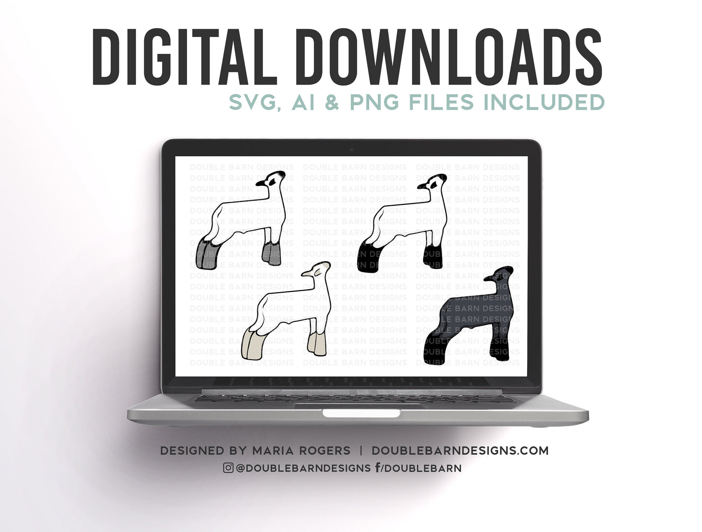 Show Lamb Breeds | Digital Downloads - SVG, PNG, Ai Files | Commercial License